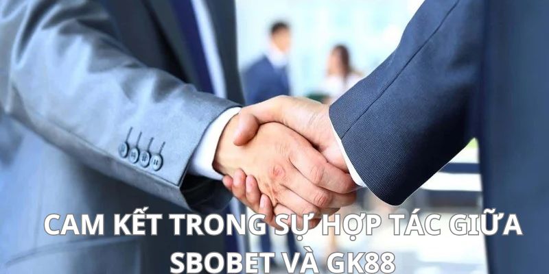 Hợp tác dựa trên tinh thần tự nguyện, trách nhiệm